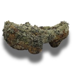 Zoca II (Galaico Green)